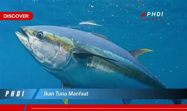 ikan tuna manfaat