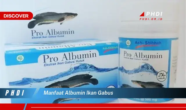 manfaat albumin ikan gabus