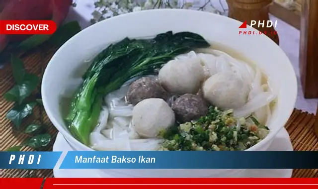 manfaat bakso ikan