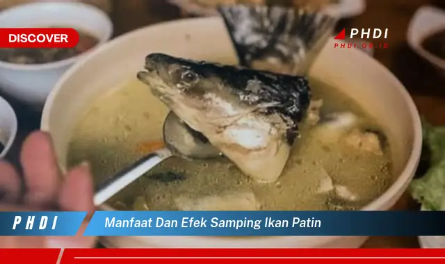 manfaat dan efek samping ikan patin