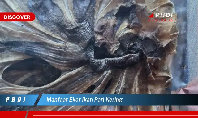 manfaat ekor ikan pari kering