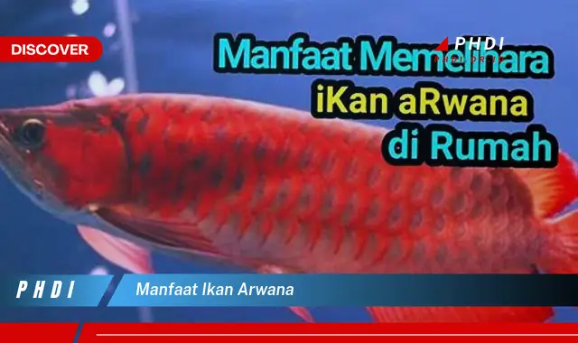 manfaat ikan arwana