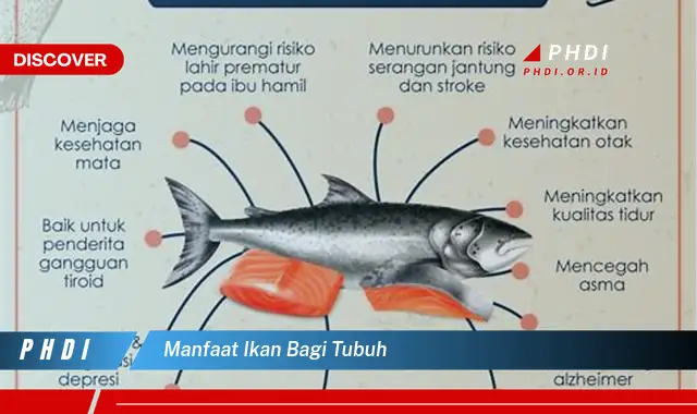 manfaat ikan bagi tubuh