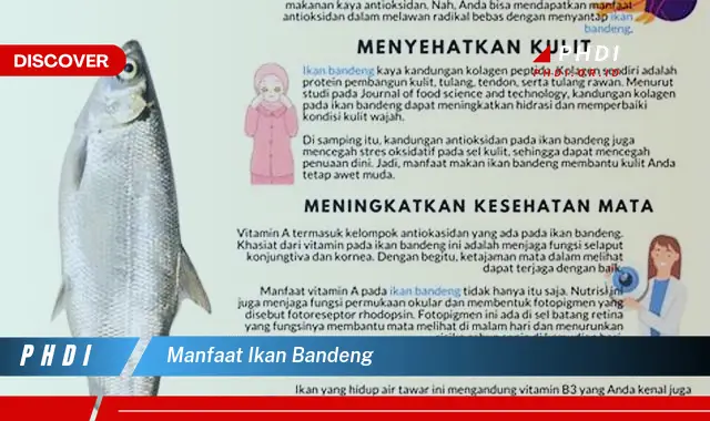 manfaat ikan bandeng