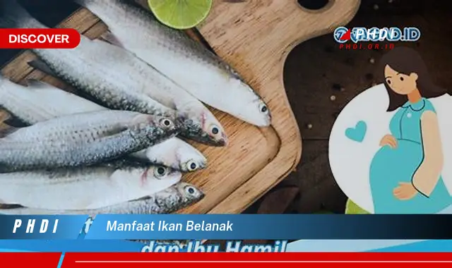 manfaat ikan belanak