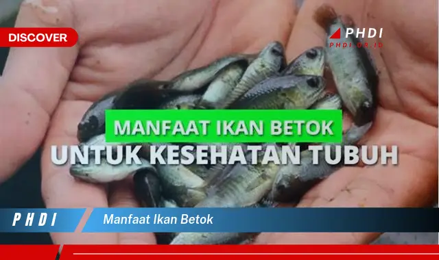 Ikan Betok Taksonomi Morfologi Habitat Kandungan Manfaat | The Best