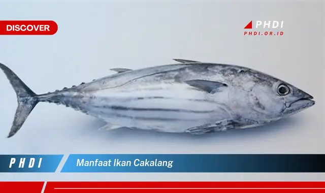 manfaat ikan cakalang