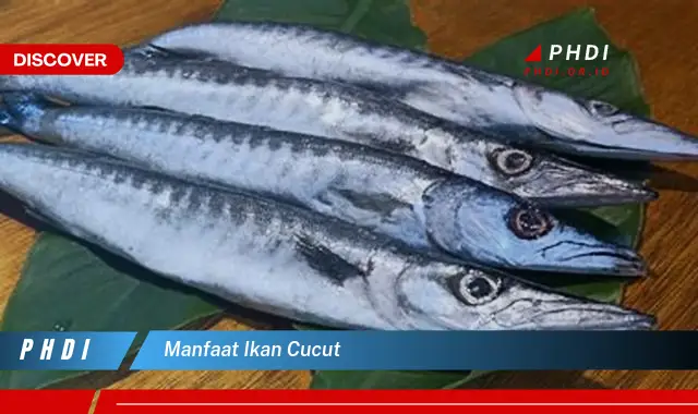 manfaat ikan cucut