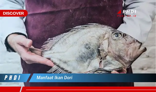 manfaat ikan dori