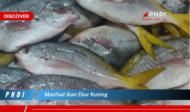 manfaat ikan ekor kuning