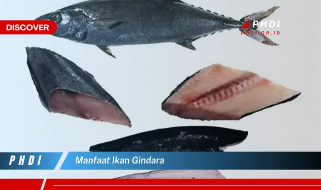 manfaat ikan gindara