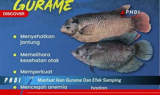 manfaat ikan gurame dan efek samping