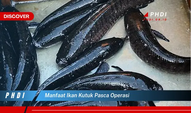 manfaat ikan kutuk pasca operasi