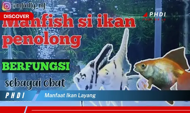 manfaat ikan layang