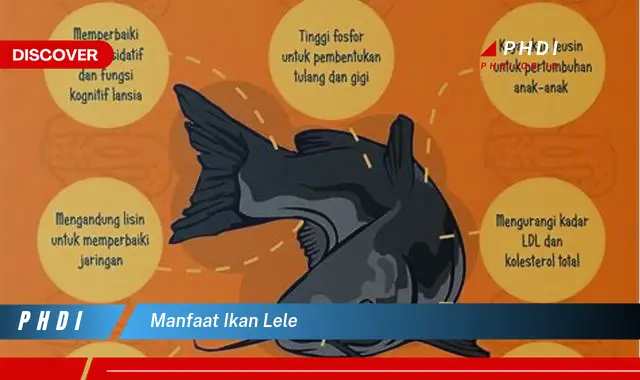 manfaat ikan lele