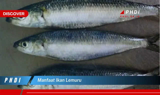 manfaat ikan lemuru