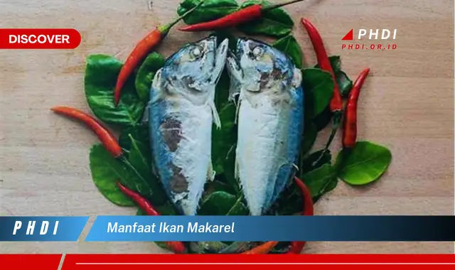 manfaat ikan makarel