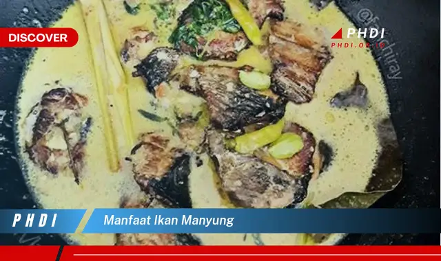 manfaat ikan manyung