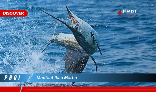 Temukan 7 Manfaat Ikan Marlin yang Bikin Kamu Penasaran!