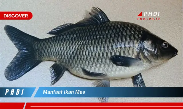 manfaat ikan mas