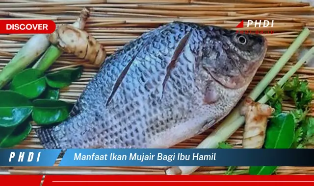 manfaat ikan mujair bagi ibu hamil