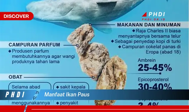 manfaat ikan paus