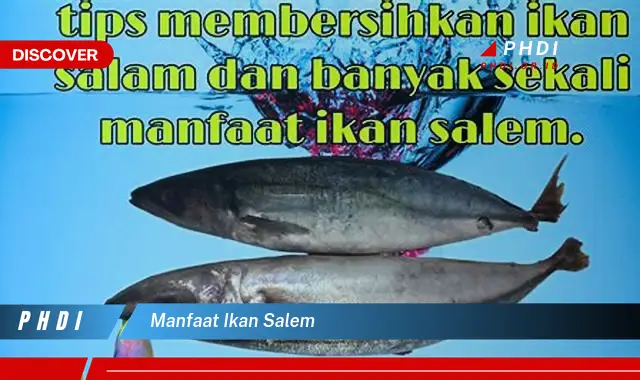 manfaat ikan salem