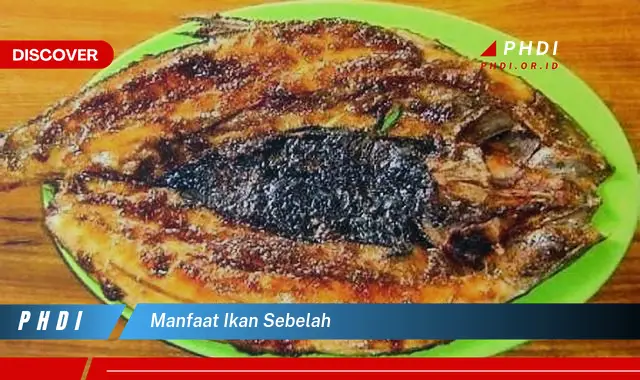 manfaat ikan sebelah