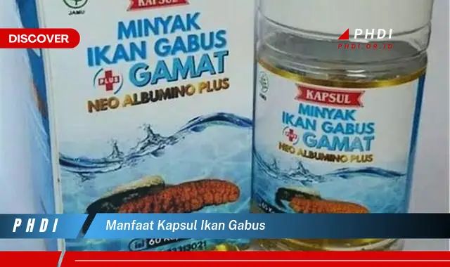 manfaat kapsul ikan gabus