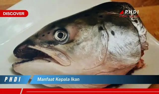 manfaat kepala ikan