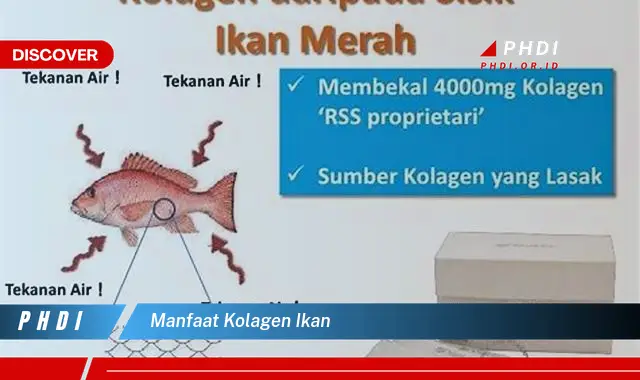 manfaat kolagen ikan