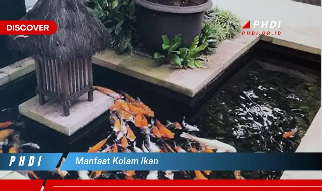 manfaat kolam ikan