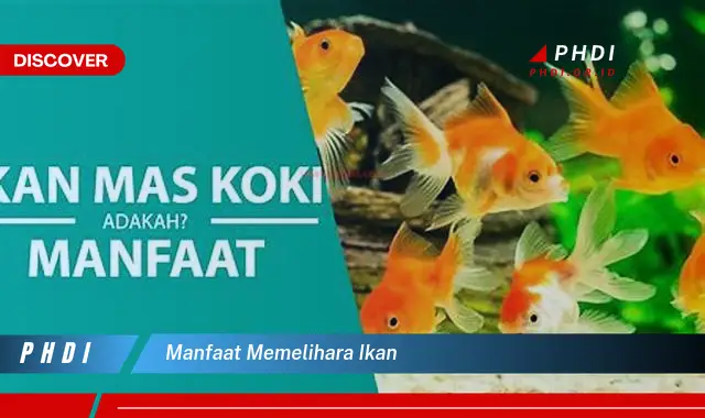 manfaat memelihara ikan