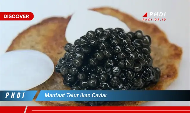 manfaat telur ikan caviar