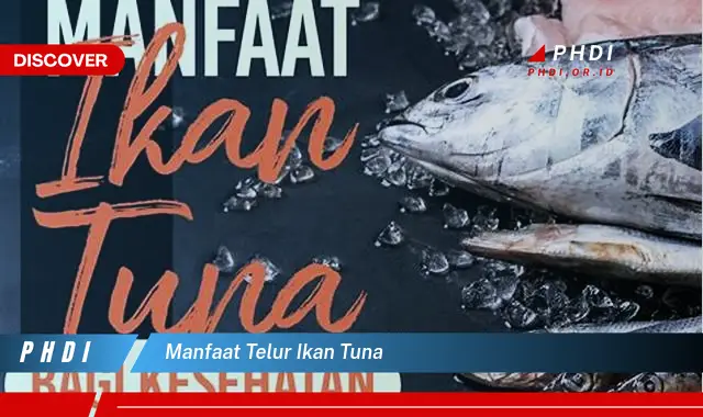 Ketahui Manfaat Tersembunyi Telur Ikan Tuna yang Jarang Diketahui