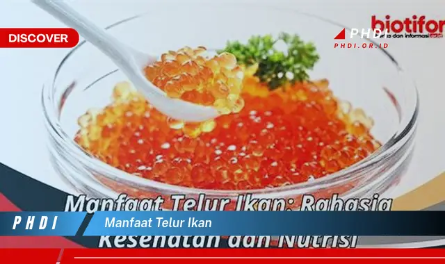 manfaat telur ikan