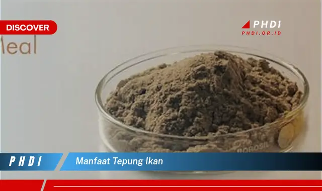 manfaat tepung ikan