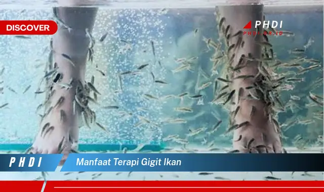 manfaat terapi gigit ikan