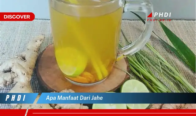 apa manfaat dari jahe