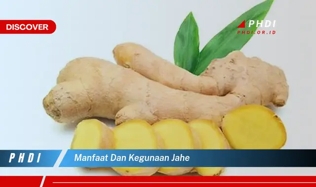 manfaat dan kegunaan jahe