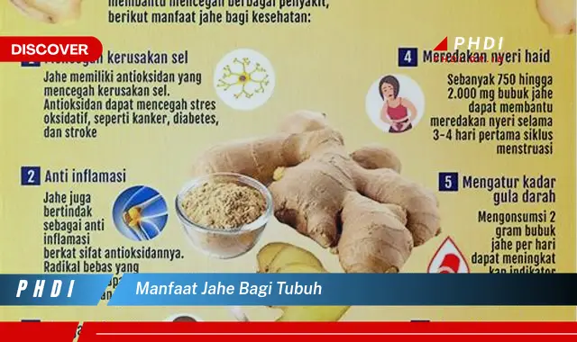 manfaat jahe bagi tubuh