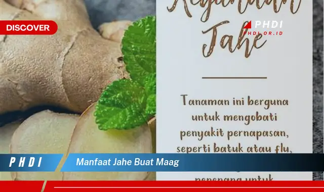 manfaat jahe buat maag