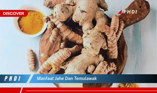 manfaat jahe dan temulawak