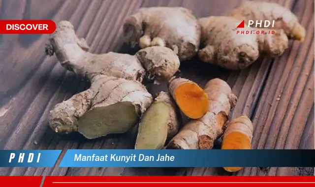 manfaat kunyit dan jahe