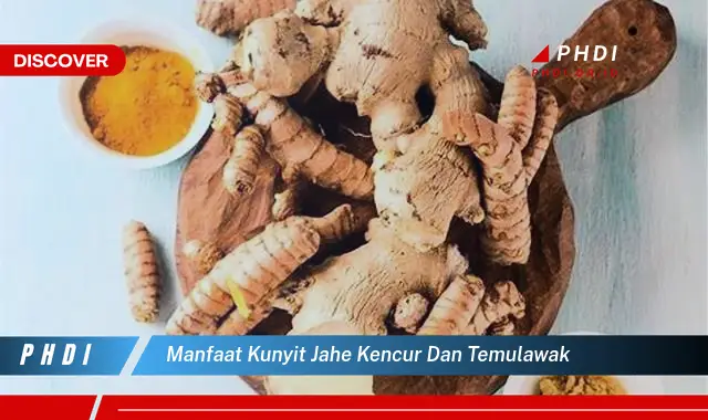 manfaat kunyit jahe kencur dan temulawak