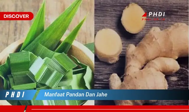 manfaat pandan dan jahe