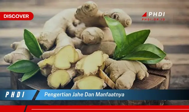 pengertian jahe dan manfaatnya