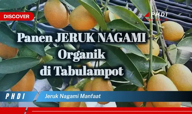 jeruk nagami manfaat