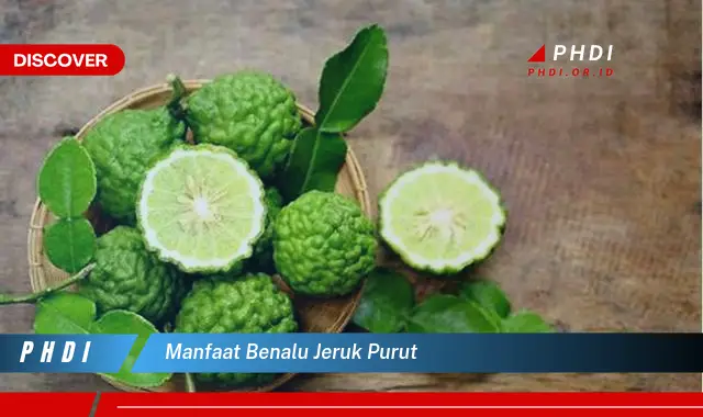 manfaat benalu jeruk purut