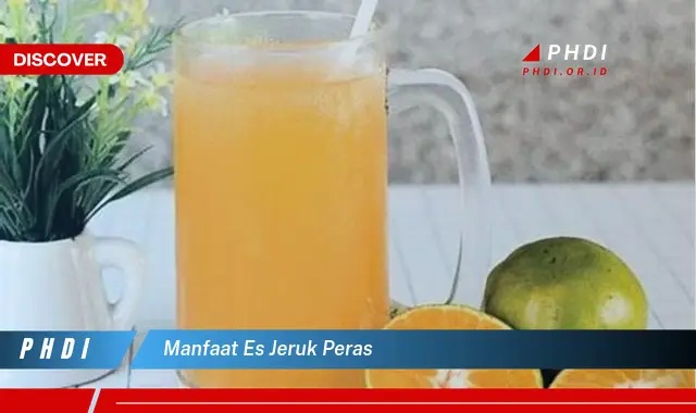 manfaat es jeruk peras